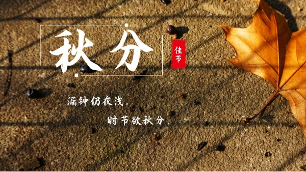 樓上樓門窗 | 白露秋分夜,一夜冷一夜，高端門窗安排上！